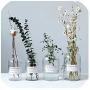 Minimalist Chic Glass Storage Jars Scandinavian Vogue Elegance Transparent Desk Storage Bottle Organizer Flower Vase Decor,500Ml Big Bouth