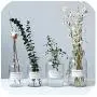 Minimalistische Chic Glas Aufbewahrungsgläser, skandinavischer Vogue Eleganz, transparente Schreibtisch-Aufbewahrungsflasche-Organizer, Blumenvasen-Dekor, 500ml Große Fassung