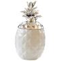 Ceramic Pineapple Shaped Spice Jar Seasoning Can Kitchen Canisters Sugar Salt Pepper Spice Jam Pot Storage Box for Jewelry, Home Organizer