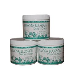 Super Salve, Dream Cream Mimosa Blossom, 6 Ounce