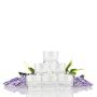 PurO3 Ozonated Oil Ultimate Sample Pack