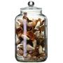 Glass Sealed Jars, Moisture-Proof Kitchen Food Containers, Storage Kimchi/Cereal/Oatmeal/Pasta