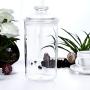 Large Acrylic Storage Jar, Airtight Lid with Silicon Sealing Ring | Perfect Canister for Sugar, Salt, Tea, Spices, Herbs, Condiments | 1000ML/34.2OZ