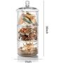 3-Tier Stacking Glass Apothecary Jar/Round Glass Storage Canisters for Kitchen and Bathroom D7XH16.5"