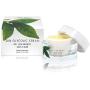 Dr Lisa Benest Skin Care 20% Glycolic Alpha Hydroxy Acid Anti Aging Day Night Alpha Lipoic DMAE Green Tea Peptide Ferulic Face Cream 1.75 Ounce