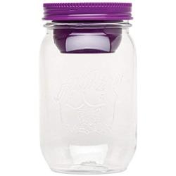 ALADDIN CLASSIC MASON SALAD JAR 1L (BERRY)