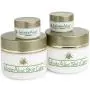 InfiniteAloe Skin Care Cream - Original Scent - (2) 8oz + (2) 0.5oz InfiniteAloe Skin Care Cream - Original Scent - (2) 8oz + (2) 0.5oz