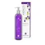 Andalou Naturals Apricot Probiotic Cleansing Milk 6 Ounce