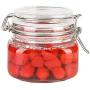 Yardwe 500ML Clip Top Glass Jars Storage Preserving Jars Clear Container Mason Jar