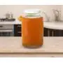 Paquet de 2 – Bocal en verre de 1 Gallon avec Bouchon Plastique à Joint Élastique – Bocal Mason Sûr pour la Fermentation du Kombucha, du Kefir, du Pickling, du Stockage et de la Conserve – Par Kitchentoolz Paquet de 2 – Bocal en verre de 1 Gallon avec Bouchon Plastique à Joint Élastique – Bocal Mason Sûr pour la Fermentation du Kombucha, du Kefir, du Pickling, du Stockage et de la Conserve – Par Kitchentoolz