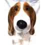 Treat Jar Ceramic Beagle Hound Basset Dog Cookie Food Treat Jar Canister Container