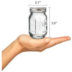 Ball Mini 4 Oz Miniature Storage, 24 Jars, Clear