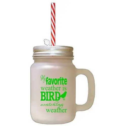 Green My Favorite Weather Bird Watching Weather Frosted Glass Mason Jar With Straw