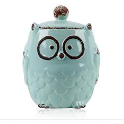 FidgetKute Large Kitchen Ceramic Owl Canister Food Storage Jar for Coffee Sugar Flour Blue Show One Size