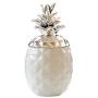 Ceramic Pineapple Shaped Spice Jar Seasoning Can Kitchen Canisters Sugar Salt Pepper Spice Jam Pot Storage Box for Jewelry, Home Organizer