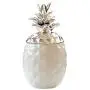 Bouteille Poivre Sel Épices Design Pineapple pour la Maison, la Cuisine, Camping, Randonnée, Pêche, Barbecue