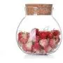 WANGLXST Food Storage Container, Sealed Cans Dried Fruit Sealed Jar Wooden Lid Storage Tank, Good Sealing, Glass Bottle, Transparent