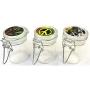 HHB Eclipse 1,5 oz Mini Stash Behälter mit Gummidichtung (3er-Set), luftdichte Kräutergarderobe und Gewürzbehälter, verspielte Rasta-Designs, GJ02