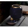 HHXQXB Storage Container for Ceramic Food, Spice Jug Tea, Coffee, Spice, Sugar, Salt and More Mat Coating, WearCO2 and Preserves The Freshness of Food (White)