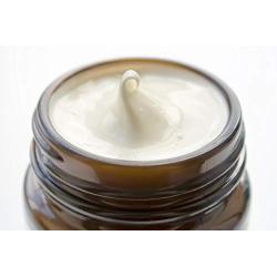 Aesop Primrose Facial Hydrating Cream 2 Oz