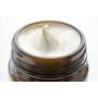 Aesop Primrose Facial Hydrating Cream 2 Oz