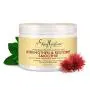 Shea Moisture Jamaican Black Castor Oil Smoothie, 12 Ounce Shea Moisture Jamaican Black Castor Oil Smoothie, 12 Ounce