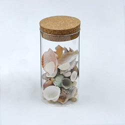 Small Glass Bottles with Cork Stopper Tiny Clear Vials Storage Container for Art Crafts Projects Decoration Party Supplies