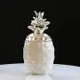 Bouteille Poivre Sel Épices Design Pineapple pour la Maison, la Cuisine, Camping, Randonnée, Pêche, Barbecue