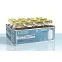 24er Pack Regular 1 Qt Glas Jarren