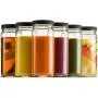 Reise Glas Trinkflasche 16 Unzen [6er Pack] BPA-freie Plastikdeckel, Wiederverwendbare Glasflasche zum Mixen, für Saft, Smoothies, Kombucha, Tee, Milch, Homebrewed Beverage Bottle