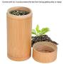 Tea Can, Portable Bamboo Tea Jar Storage Holder Container Box(Big)