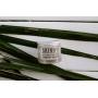 SKINNY & CO. Cleansing Balm and Makeup Remover 2 oz. (Rejuvenating)