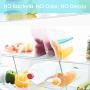 Reusable Food Storage Bags, 6 Pack Extra Thick Leakproof Degradable Freezer Fresh Bag, FDA Grade PEVA Sandwich & Snack Bags, Free Ziplock Lunch Bag for Kids Snacks,Fruit,Travel,Home Organization
