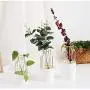 Scandinavian Ceramic Iron Wire Vase Plant Hydroponic Jar Elegance Flower Detachable Storage Jar Minimalist Desktop Decor Art Vas,Middle Gold Scandinavian Ceramic Iron Wire Vase Plant Hydroponic Jar Elegance Flower Detachable Storage Jar Minimalist Desktop Decor Art Vas,Middle Gold