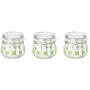 3 Pack of IKEA Sommar Glass Mason Jar with Hinged Airtight Lids Green Four Leaf Pattern, 4OZ, Storage Containers For Kitchen Spices Nuts Sauce And Other