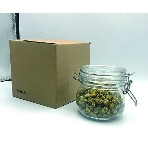Contenants en verre transparent TOOLARA avec couvercles étanches pour le rangement de la cuisine et du garde-manger – Pots de rangement pour céréales, farine, biscuits, farine – Ensemble de contenants sans BPA Contenants en verre transparent TOOLARA avec couvercles étanches pour le rangement de la cuisine et du garde-manger – Pots de rangement pour céréales, farine, biscuits, farine – Ensemble de contenants sans BPA