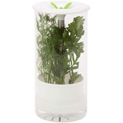 Honey-Can-Do KCH-06398 Glass Herb Preserver, Clear/White