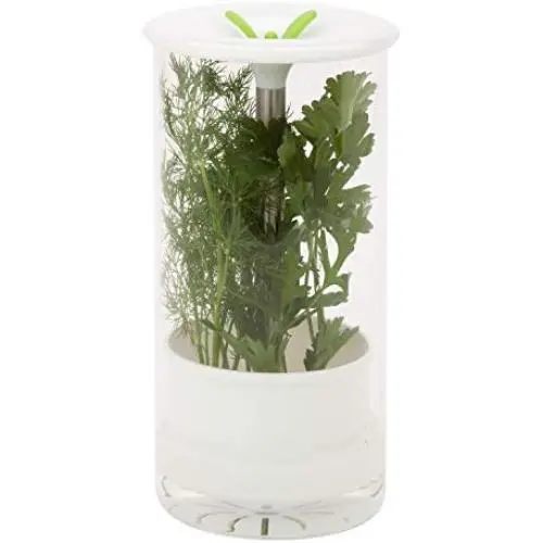 Préserveur d'herbes en verre Honey-Can-Do KCH-06398, Transparent/Blanc Préserveur d'herbes en verre Honey-Can-Do KCH-06398, Transparent/Blanc