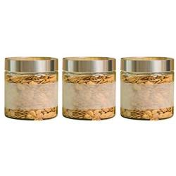 Glass Storage Sealed Jars, Kitchen Food Containers, Storage Jam/Honey/Coffee/Candied Fruit