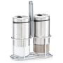 Zeller 19631 Salt and Pepper Shaker Set, Clear