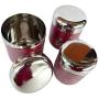 Rastogi Handicrafts Window Kitchen Canister/Tea/Sugar/coffee Storage Box/Pot Stainless Steel Set of 3 / Leaf print color box Diwali gift - EXPEDITED SHIPPING