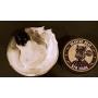 Premium Shaving Soap for Men by Sir Hare - Barbershop Fragrance - Shave Soap That Smells Great and Provides a Smooth Shave