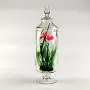 Transparente Glas Candy Jar Set – 4 Stück, Kreative Modedekoration für Hochzeit, Candy Buffet, Snack-Dried Fruit-Behälter zum Lagern