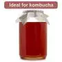 2 Pack - 1 Gallon Glass Jar w/Plastic Airtight Lid, Muslin Cloth, Rubber Band - Made in USA, Wide Mouth Easy to Clean - BPA Free - Kombucha, Kefir, Canning, Sun Tea, Fermentation, Food Storage 2 Pack - 1 Gallon Glass Jar w/Plastic Airtight Lid, Muslin Cloth, Rubber Band - Made in USA, Wide Mouth Easy to Clean - BPA Free - Kombucha, Kefir, Canning, Sun Tea, Fermentation, Food Storage