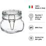 Bormioli Rocco Fido 17.5 Ounce Glass Storage Jars: Airtight Hinged Lid With Leak Proof Gasket, Wide Mouth Food Container - For Zero Waste Air Tight Preserving Jam, Spices, Coffee, Sugar & Herbs