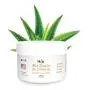 Aloe Vera Creme für Gesicht – Bio Sheabutter, Jojobaöl – Für Rosacea, Psoriasis, Ekzeme (9 oz)