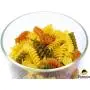 5er Set Glas Lebensmittelbehälter mit Bambusdeckeln – Ideal für Nüsse, Pasta, Mehl, Zucker, Reis, Kekse, Süßigkeiten.