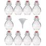 Viva Haushaltswaren 10/Canteen 200 ml Glass Bottles with Swing Tops for Self-Filling incl. Filling Funnel 7 cm
