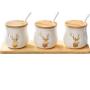 Mini Spice Jars Home seasoning jar home kitchen ceramic seasoning box