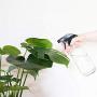 Glass Spray Bottle, Niuta 16 OZ Clearr Glass Empty Spray Bottles with Labels for Plants, Pets, Essential Oils, Cleaning Products - Black Trigger Sprayer w/Mist and Stream Settings